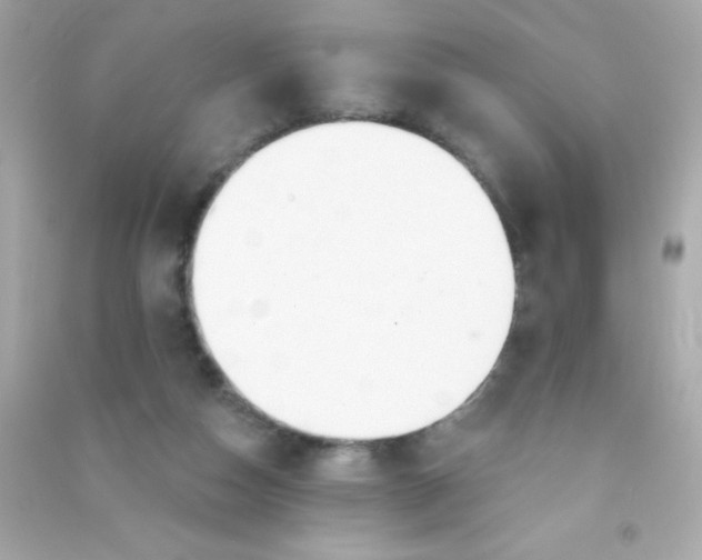 X0000090480162200708102204