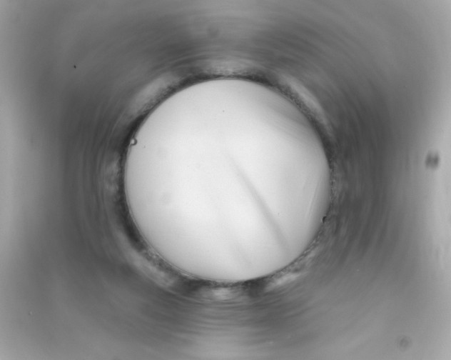 X0000090480163200708102204
