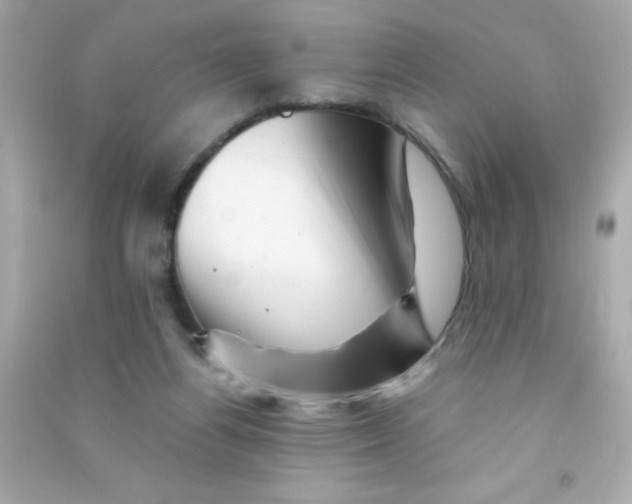 X0000090480164200708102204