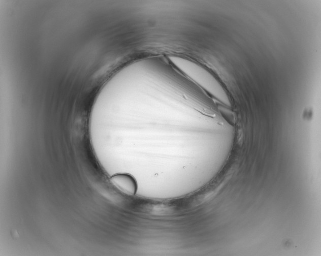 X0000090480165200708102204