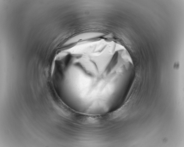 X0000090480166200708102204