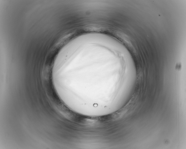 X0000090480167200708102205