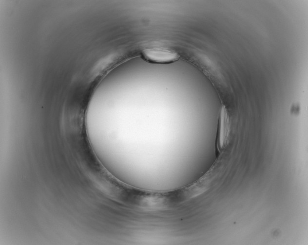 X0000090480168200708102205