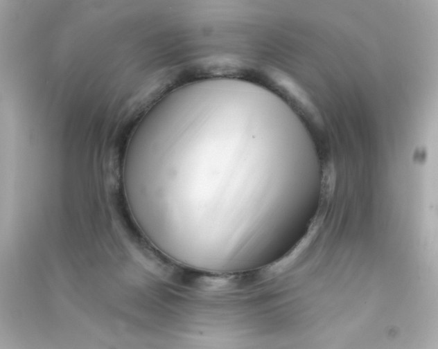 X0000090480170200708102205