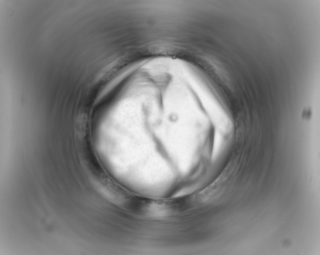 X0000090480171200708102205