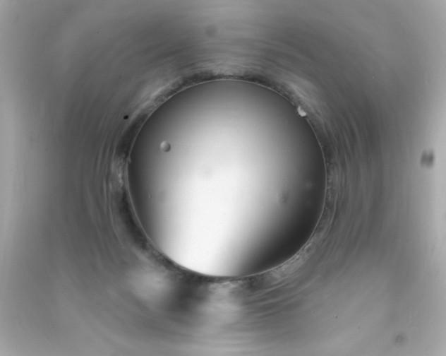 X0000090480172200708102205