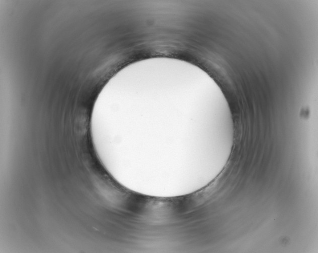 X0000090480174200708102205