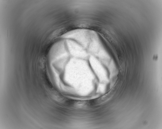 X0000090480175200708102205
