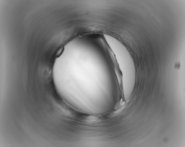 X0000090480176200708102205