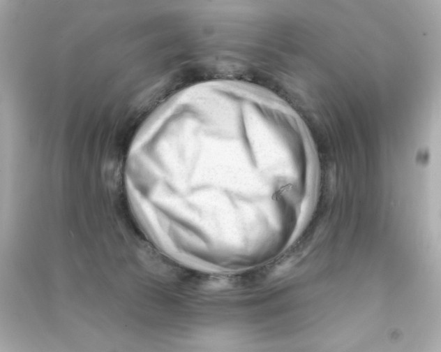 X0000090480177200708102205