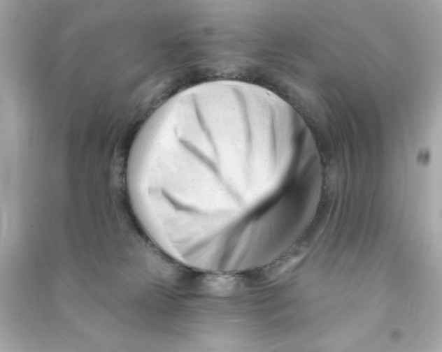 X0000090480181200708102205