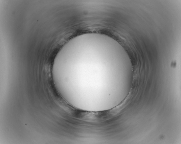 X0000090480182200708102205