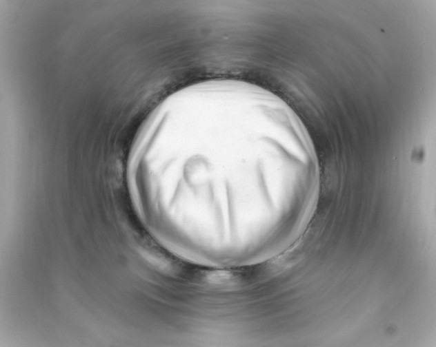 X0000090480183200708102205
