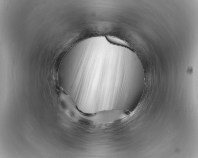 X0000090480184200708102205