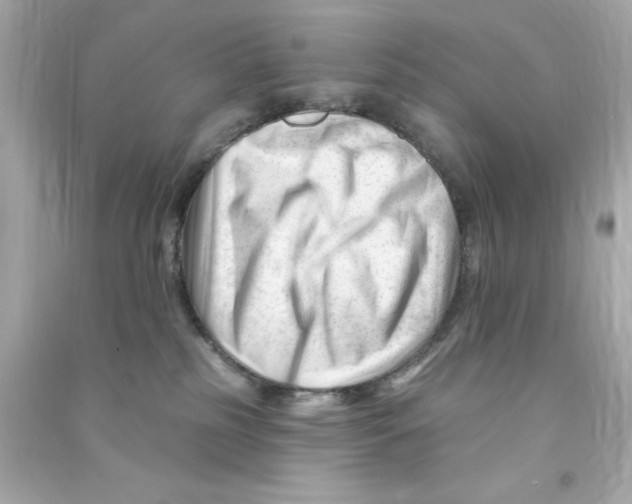 X0000090480185200708102205