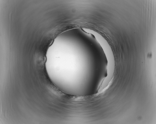 X0000090480186200708102205