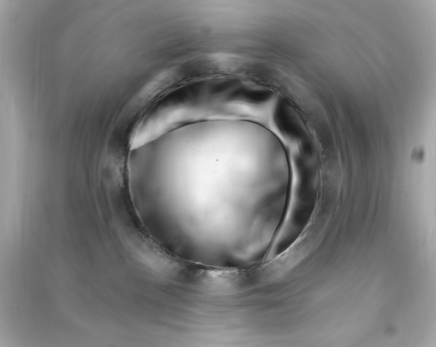 X0000090480188200708102205