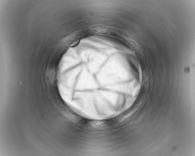X0000090480189200708102205
