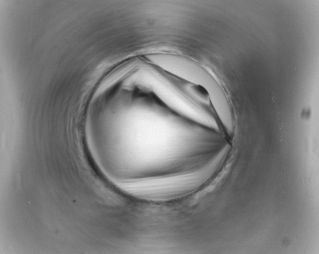 X0000090480193200708102204