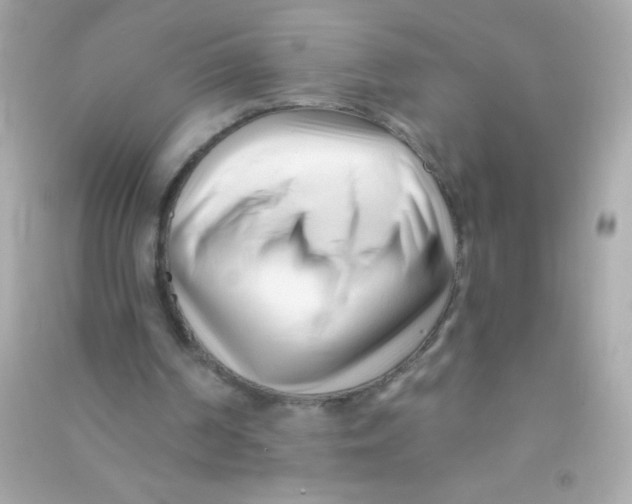 X0000090480194200708102204