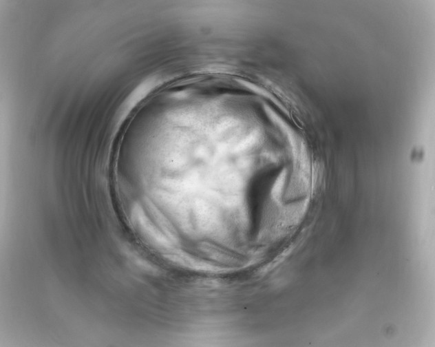 X0000090480195200708102204