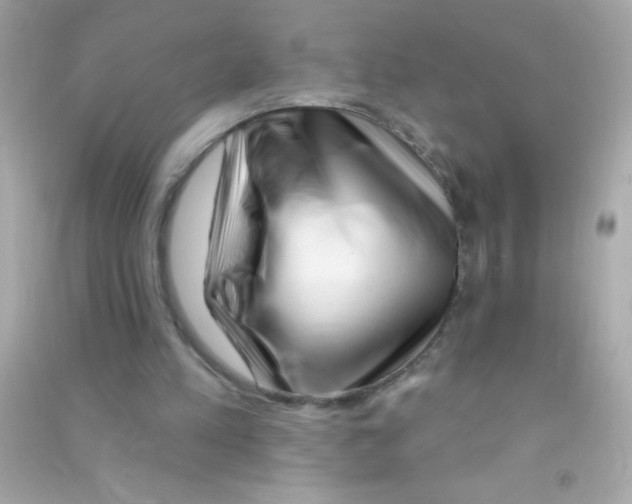 X0000090480197200708102204