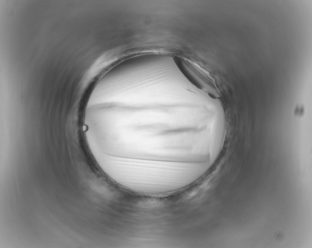 X0000090480198200708102204