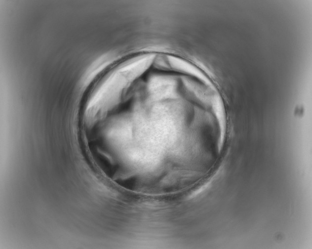 X0000090480199200708102204