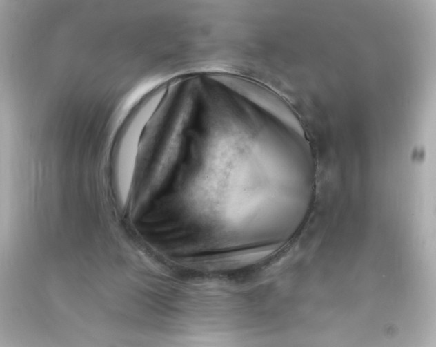 X0000090480200200708102204