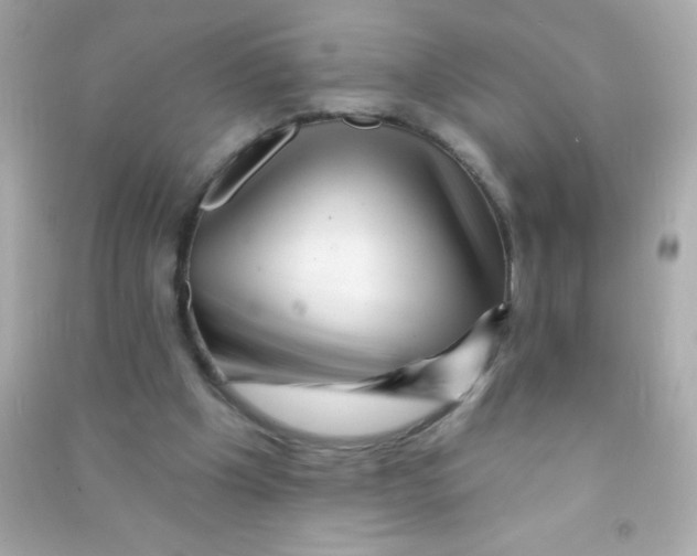 X0000090480201200708102204