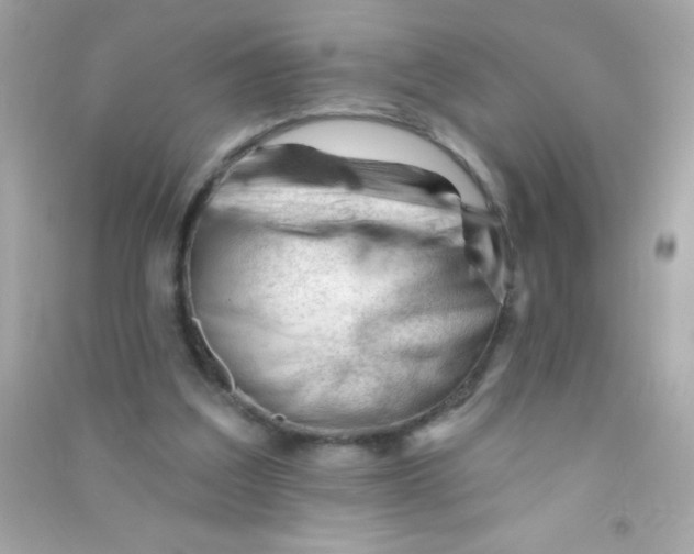 X0000090480203200708102204