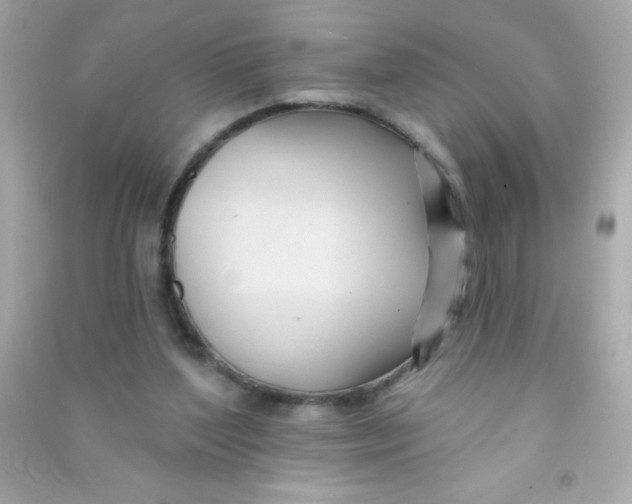 X0000090480204200708102204