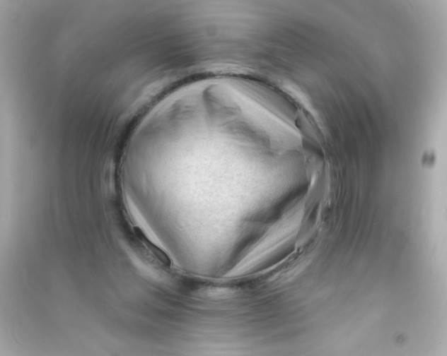 X0000090480205200708102204