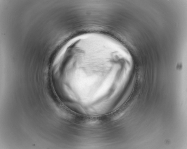 X0000090480206200708102204