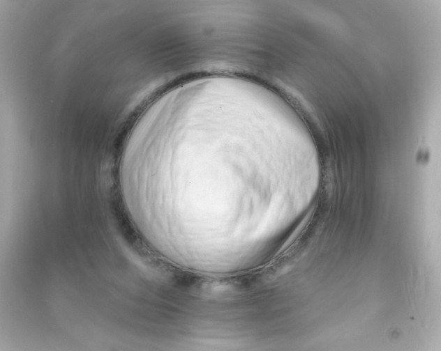 X0000090480208200708102204