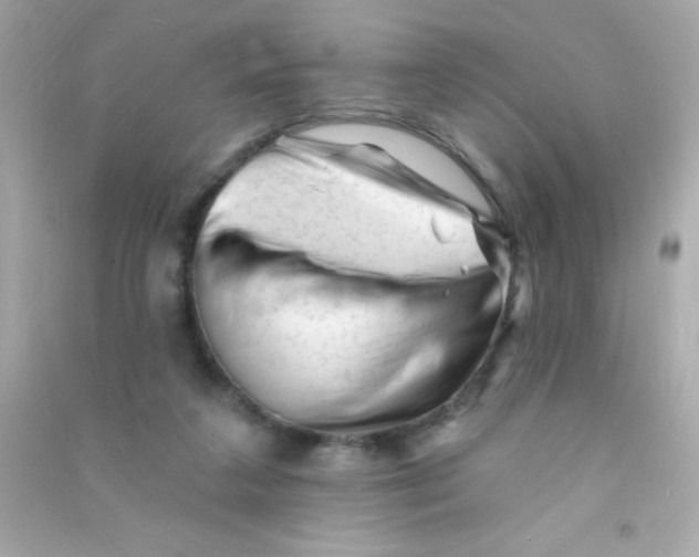 X0000090480211200708102204