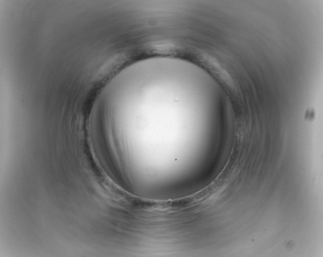 X0000090480213200708102204