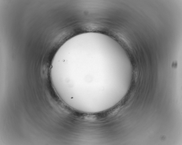 X0000090480214200708102204
