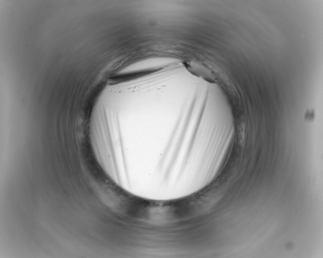 X0000090480216200708102204