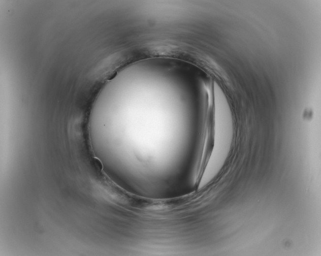 X0000090480217200708102204