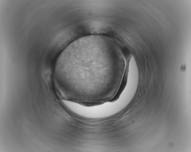 X0000090480219200708102204