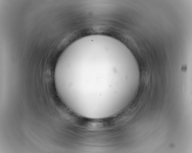 X0000090480220200708102204