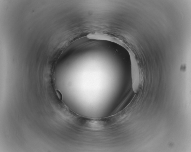 X0000090480221200708102204