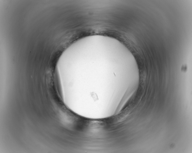 X0000090480222200708102204