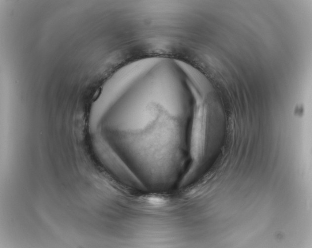 X0000090480223200708102204