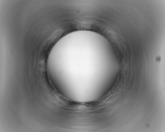 X0000090480224200708102204