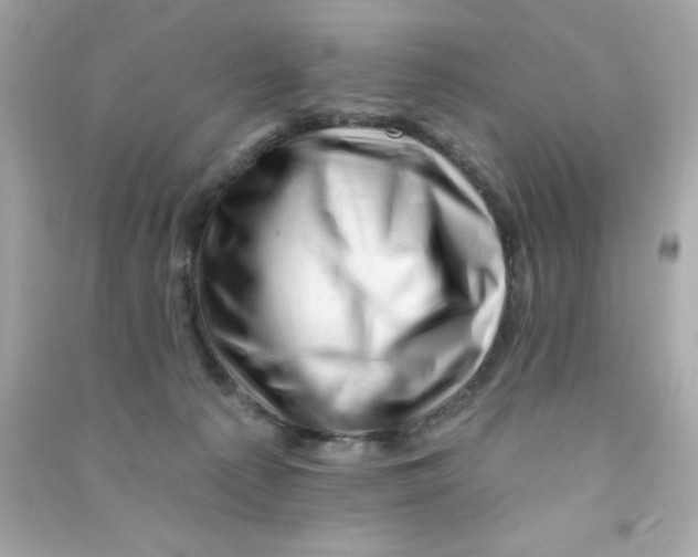 X0000090480225200708102204
