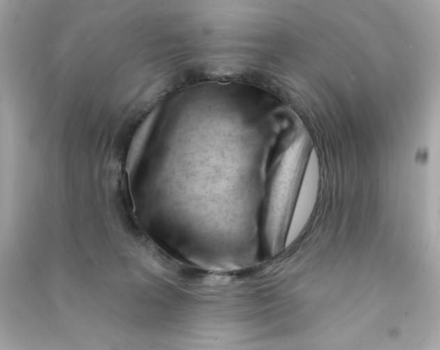 X0000090480227200708102204