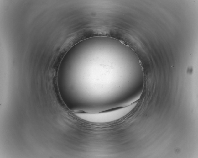 X0000090480229200708102204