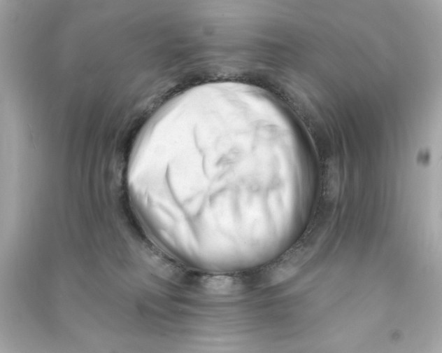X0000090480230200708102204